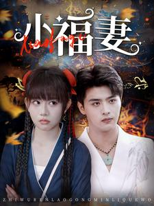 小福妻（62集）精彩短剧上线