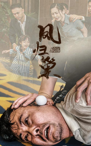 新版：凤归巢（68集）精彩短剧追不停