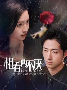 相看两不厌（80集）全网独播免费看