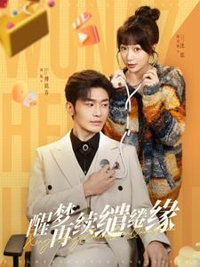 醒梦再续缱绻缘（100集）热门短剧追不停