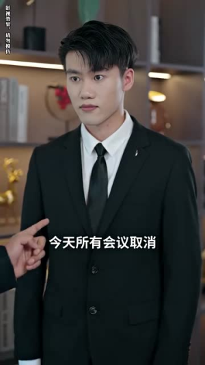 消失的爱人（74集）短剧小说在线看