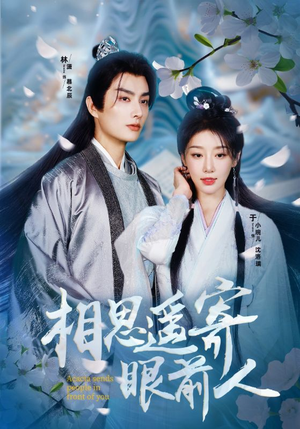 相思遥寄眼前人（83集）短剧每日分享