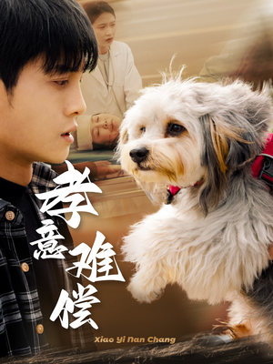 孝意难偿（32集）一口气追完短剧