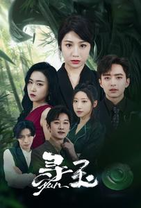 寻玉（77集）超好看短剧推荐