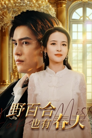 野百合也有春天（85集）甜宠短剧推荐