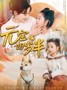 元宝四岁半(65集) 元宝四岁半(65集)大结局太过瘾了