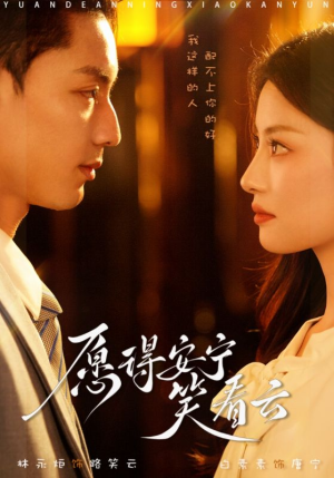 愿得安宁笑看云（78集）免费在线看