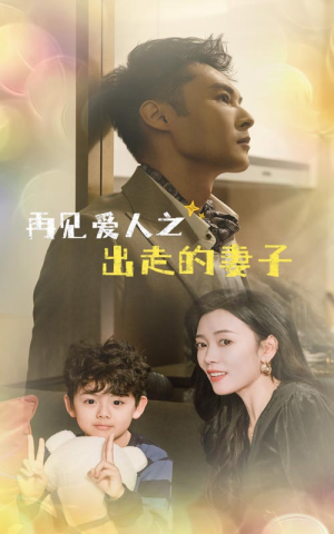 再见爱人之出走的妻子（85集）火爆短剧抢先看