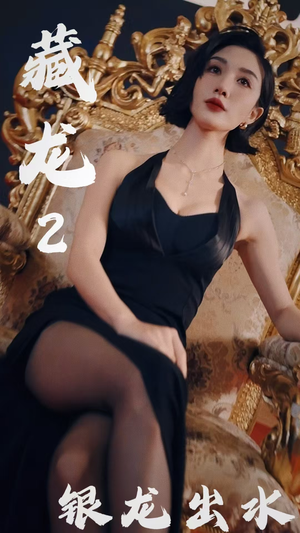 藏龙2银龙出水（35集）追短剧太上头了