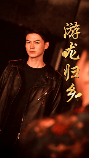 游龙归乡（60集）全集我都看完了