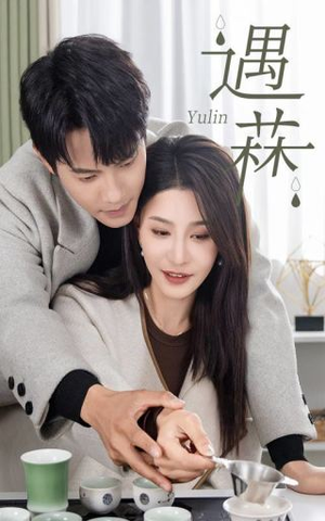 遇菻＆遇霖（50集）热门火爆短剧