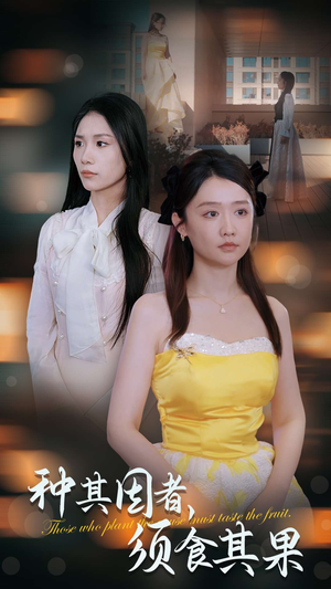 种其因者，须食其果（45集）热门短剧大全