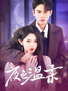 夜色温柔（98集）热播短剧分享