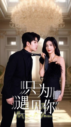 只为遇见你（88集）全网短剧抢先看