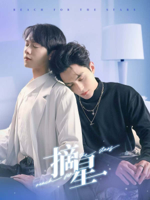 摘星（81集）剧情简介