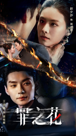 罪之花（56集）真的太好看了