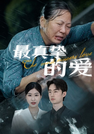 最真挚的爱（76集）看到了大结局
