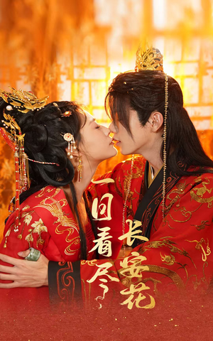 一日看尽长安花（58集）每日短剧推荐
