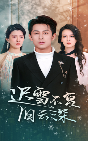迟雪不复旧云深（45集）观看软件