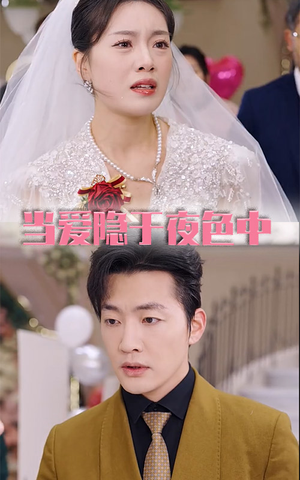 当爱隐于夜色中（37集）深深爱上这部剧