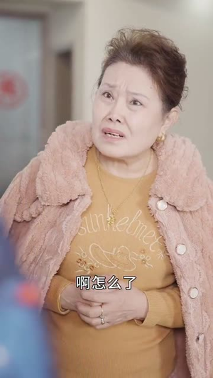 语言大师这个家没我得散（53集）短剧在线观看