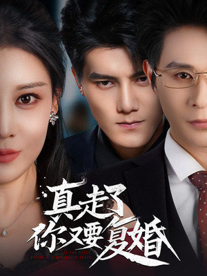 真走了你又要复婚（60集）全集