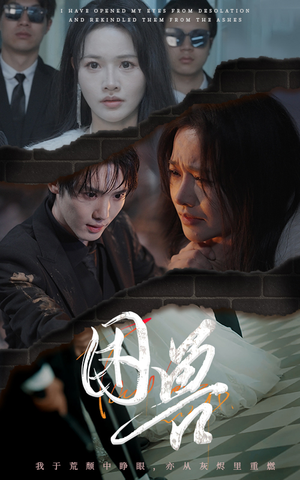 困兽（31集）在线免费观影