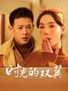 时光的双翼（94集）爆款热门短剧