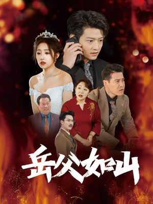 岳父如山（30集）在线看完整版