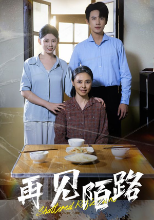 再见陌路（39集） 免费在线看全集