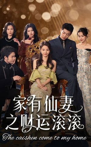 家有仙妻之财运滚滚（62集） 网盘在线观看