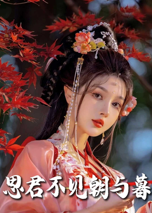 春夜引（80集） 怎么看全集