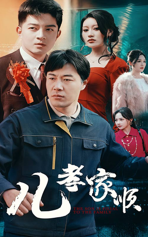 儿孝家顺（78集） 爱上了这部剧了