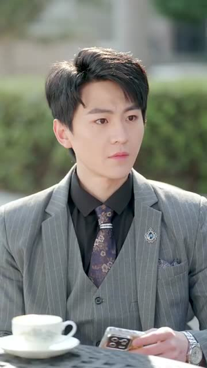 他的亿万谎言（99集） 高清画质免费看