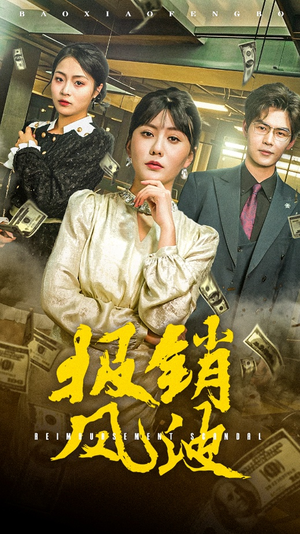 报销风波（54集） 精彩连连免费看