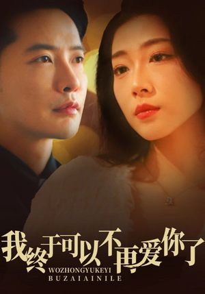 我终于可以不再爱你（60集） 第一季