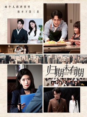 归期未有期（60集） 百度网盘在线看