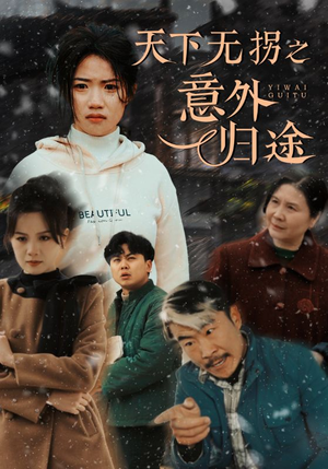 天下无拐之意外归途（61集） 百亿短剧抢先看