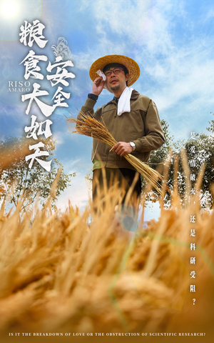 粮食安全大如天（43集） 免费观看