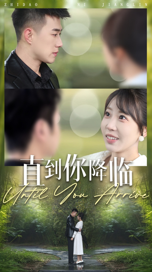 直到你降临（84集） 第一季