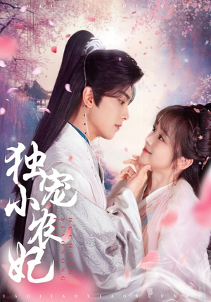 独宠小农妃（63集） 短剧精彩绝伦