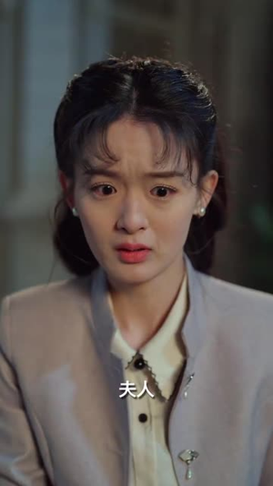 司令府就是我的家（60集）  免费观看完整版