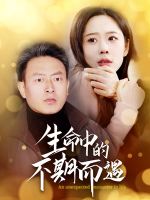 生命中的不期而遇（35集） 在哪里可以全集