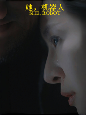 她机器人（23集）在哪看