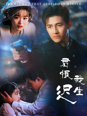 司令府就是我的家（60集） 短剧太上头了