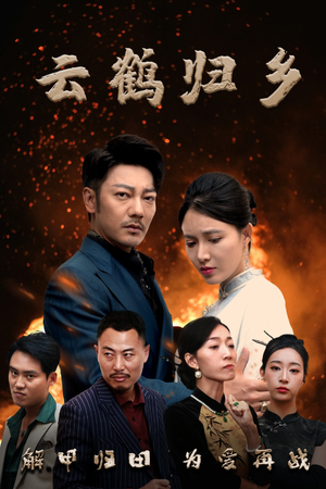 云鹤归乡（65集） 全集在线看