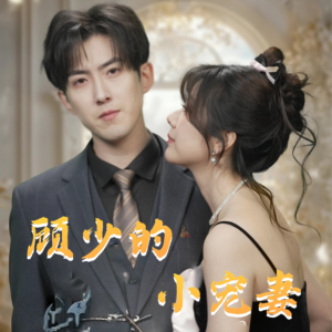 顾少的小宠妻（90集）最近很火的短剧