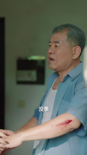 清明出游之我的爱国爷爷（35集）精彩连连免费看