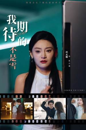 我期待的不是雪（30集）短剧免费观看