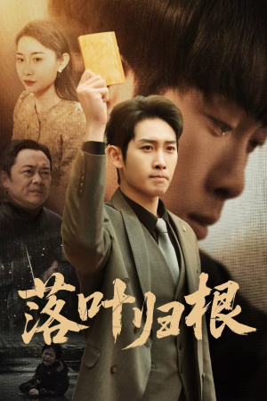 落叶归根（35集） 推荐你们也去看